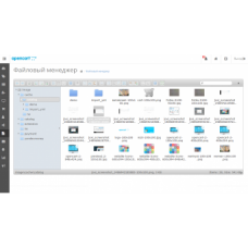 Модуль Файловый менеджер